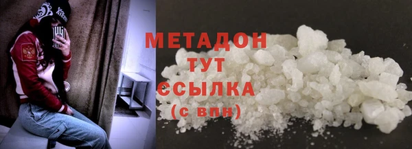 ПСИЛОЦИБИНОВЫЕ ГРИБЫ Горно-Алтайск