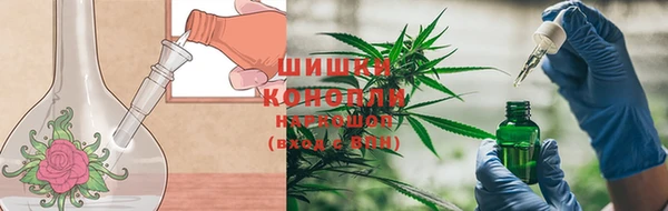 apvp Горняк