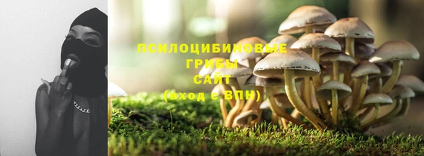 ПСИЛОЦИБИНОВЫЕ ГРИБЫ Горно-Алтайск