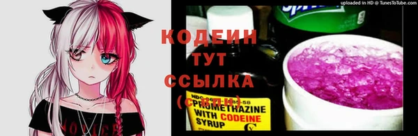 ПСИЛОЦИБИНОВЫЕ ГРИБЫ Горно-Алтайск