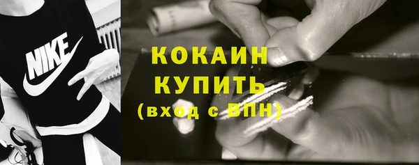 apvp Горняк
