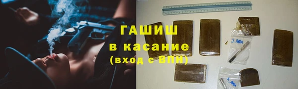 ПСИЛОЦИБИНОВЫЕ ГРИБЫ Горно-Алтайск