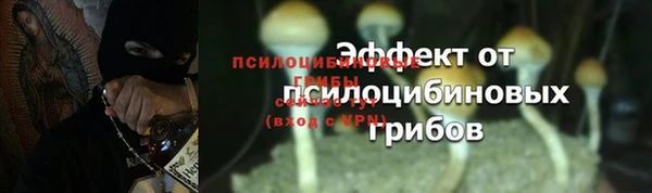 амф Горнозаводск
