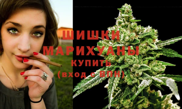 ПСИЛОЦИБИНОВЫЕ ГРИБЫ Горно-Алтайск