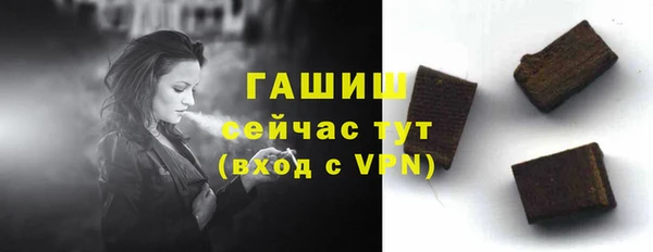 ПСИЛОЦИБИНОВЫЕ ГРИБЫ Горно-Алтайск