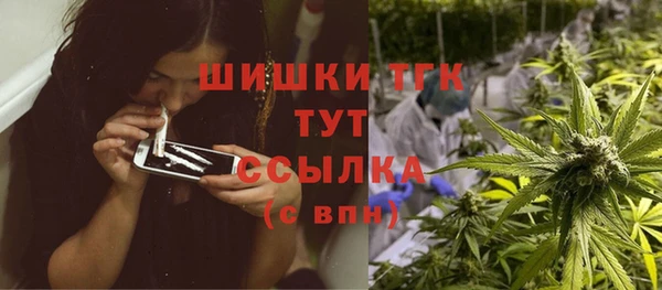 apvp Горняк