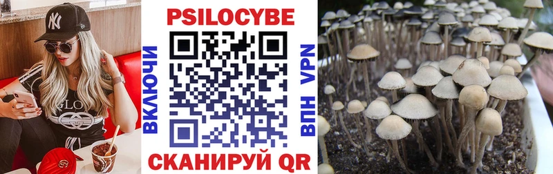 что такое   Западная Двина  Галлюциногенные грибы GOLDEN TEACHER 